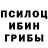 Галлюциногенные грибы мицелий Lilit Seyranyan