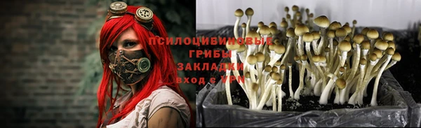 прущая мука Няндома
