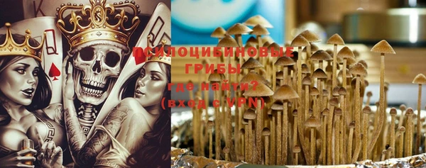 прущая мука Няндома