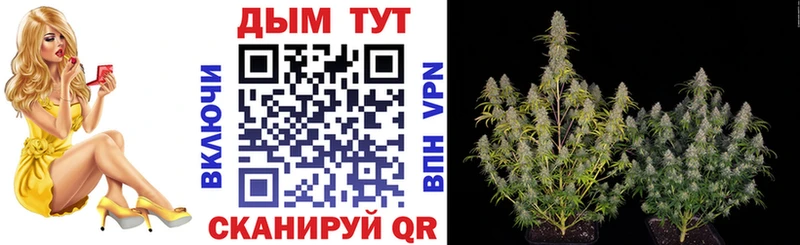 Конопля White Widow Нижневартовск